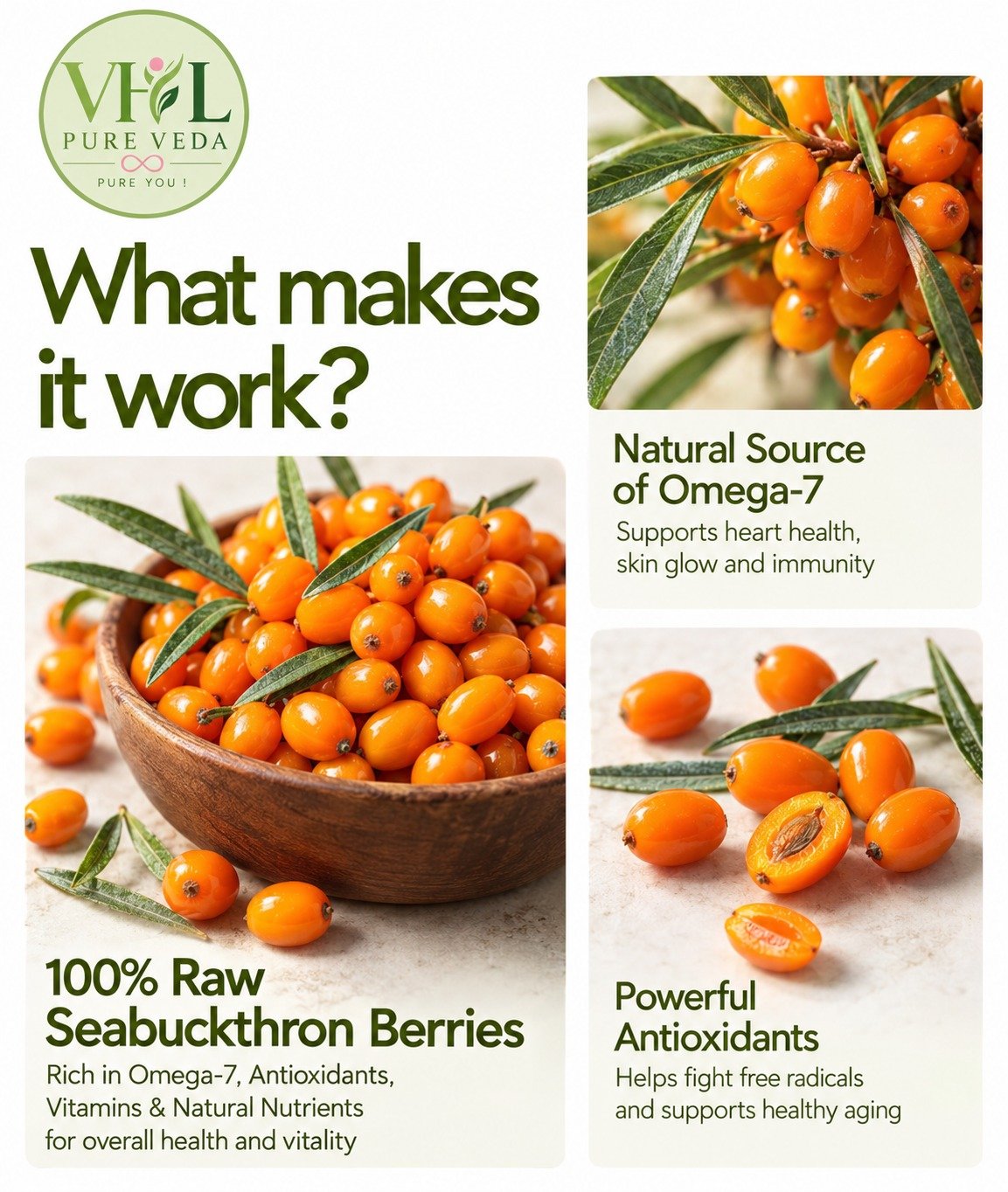 Sea Buckthorn Pulp