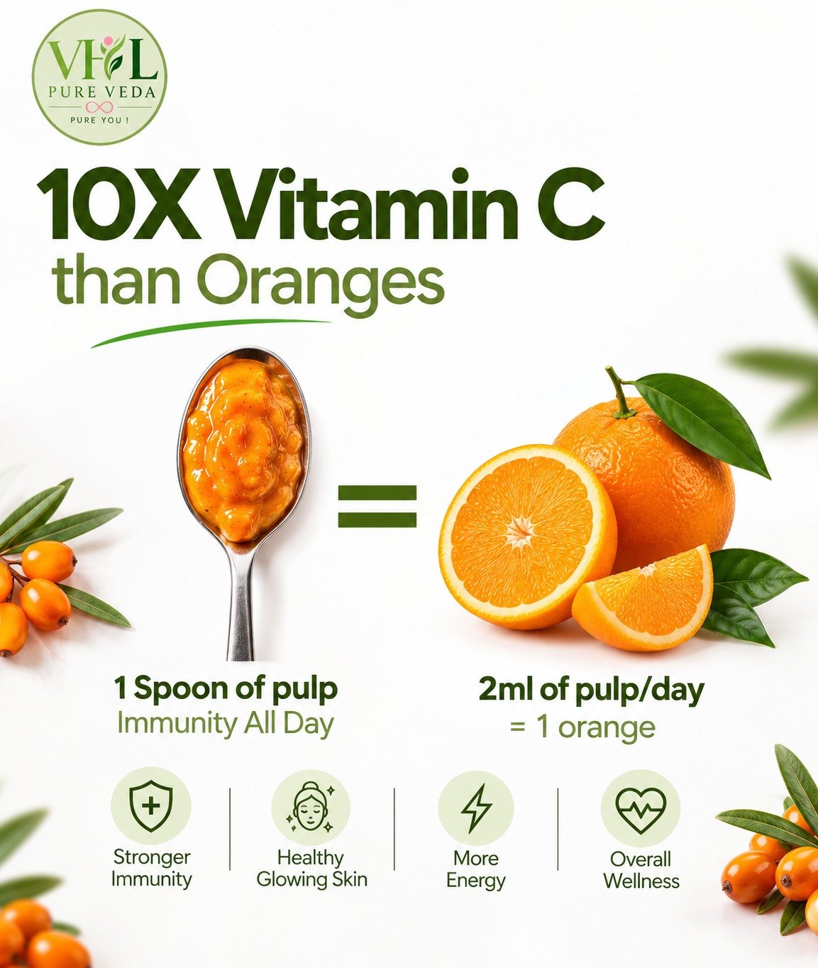 Sea Buckthorn Pulp