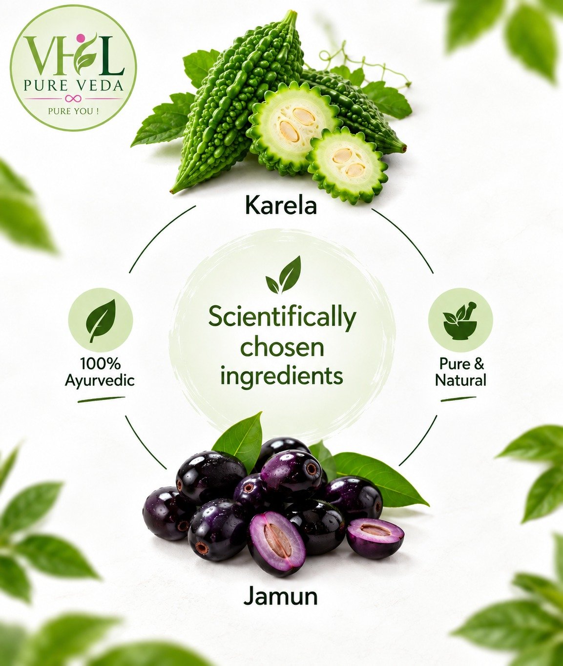 Karela Jamun Powder