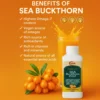Sea Buckthorn Pulp - Image 7