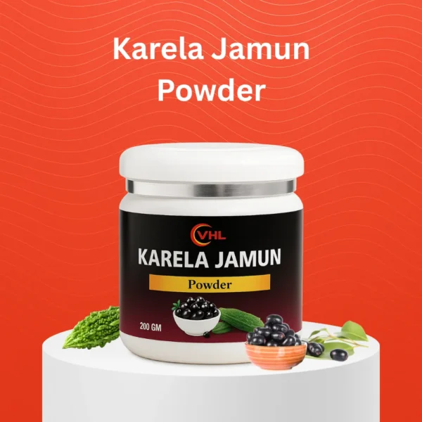 Karela Jamun Powder - Image 1
