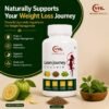 Lean Journey Capsule