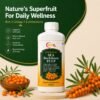 Sea Buckthorn Pulp